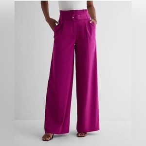 NWTs Express Super High Waisted Belted Paperbag Wide Leg Pant - Black - 10R